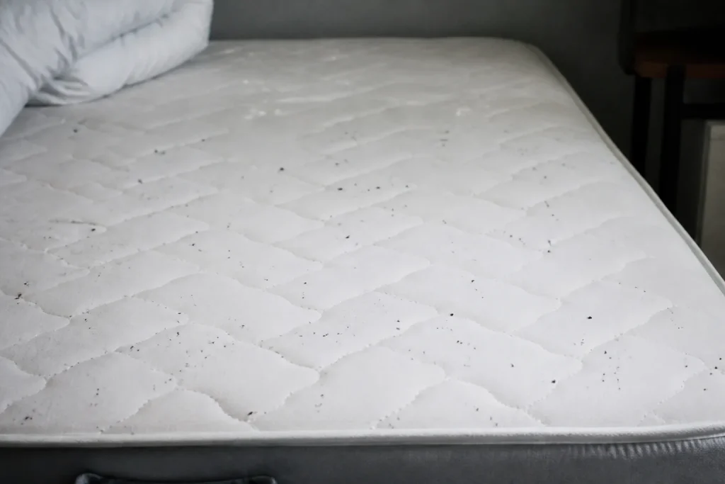Matelas blanc couvert de petites taches noires