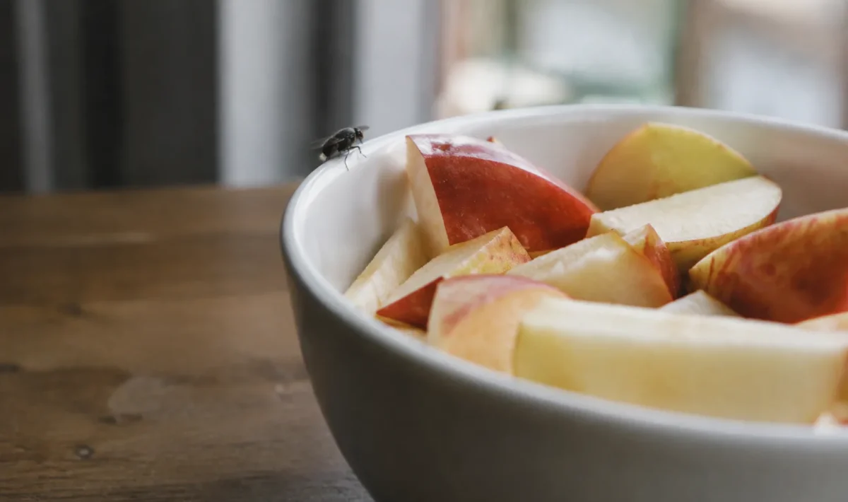 Petite mouche sur le rebord du bol de pommes