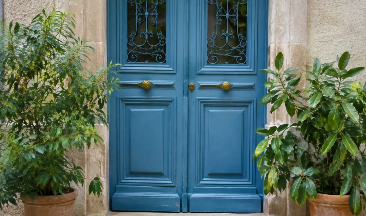 Porte bleue ornee de deux plantes vertes en pot